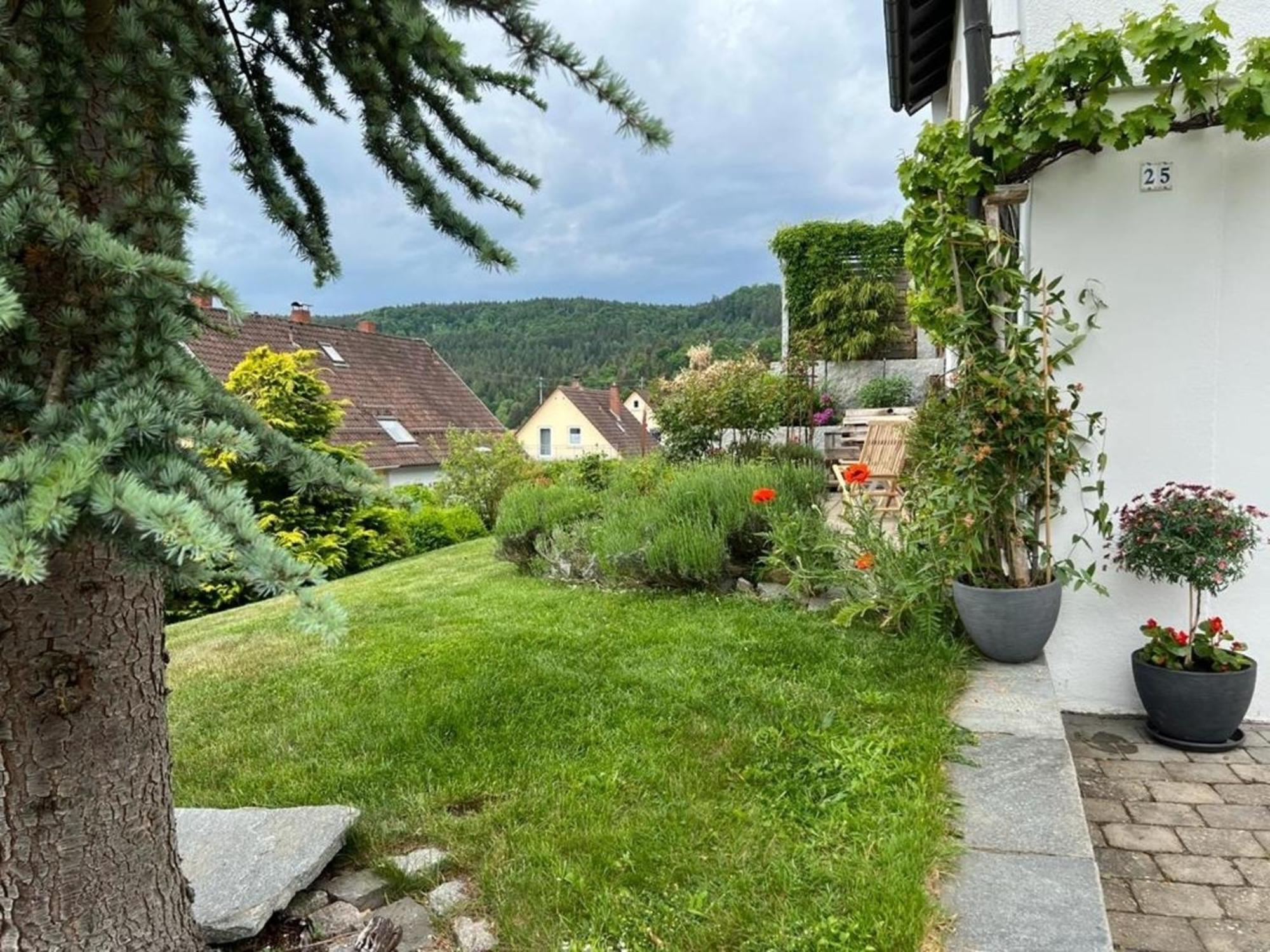 Ferienwohnung Jardin De Lavande Fridingen an der Donau Exterior photo